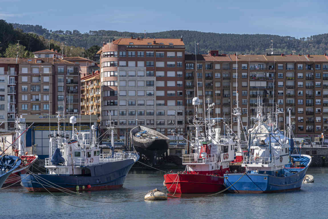 Vizcaya - Bermeo 06 - puerto.jpg